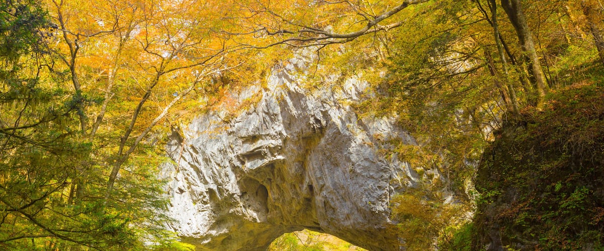 A forest with a large rock archway, a stream, and a trail.