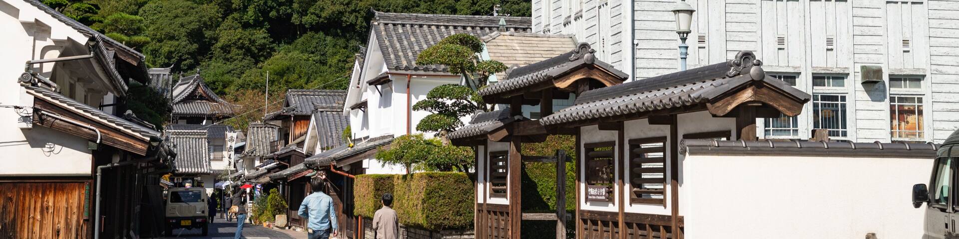 A traditional Japanese street with wooden buildings and a mountain in the background.