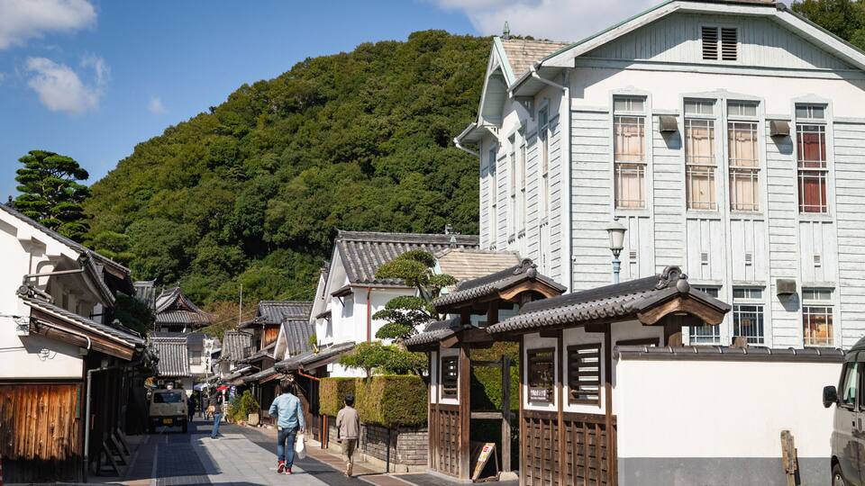 A traditional Japanese street with wooden buildings and a mountain in the background.