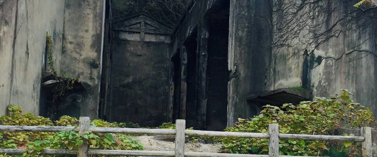 This photo was taken at my heaven on earth, only because the main inhabitants are bunnies! Rabbit Island, in Japan, has a very sad history though. It was used as a poison gas factory during WWII. Now it is a haven for rabbits and a protected park. #LocalSecrets
