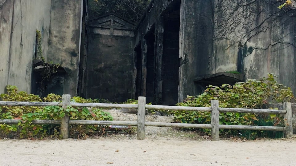 This photo was taken at my heaven on earth, only because the main inhabitants are bunnies! Rabbit Island, in Japan, has a very sad history though. It was used as a poison gas factory during WWII. Now it is a haven for rabbits and a protected park. #LocalSecrets