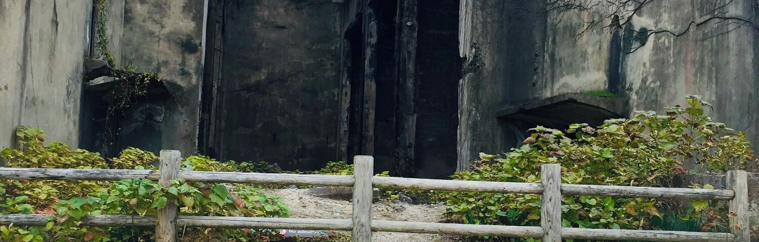 This photo was taken at my heaven on earth, only because the main inhabitants are bunnies! Rabbit Island, in Japan, has a very sad history though. It was used as a poison gas factory during WWII. Now it is a haven for rabbits and a protected park. #LocalSecrets