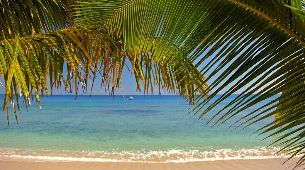 ํผ์ง ์ ๋ณด์ฌ์ฃผ๋ ์์ด๋ ํ๊ฒฝ, ํด๋ณ ๊ณผ ํ๊ฒฝ