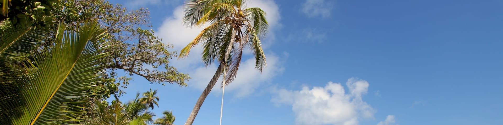 A beach with clear turquoise water, a hammock, palm trees, and a boat in the distance.