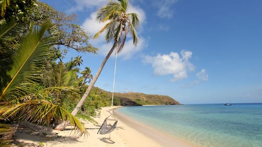 Yasawasaaret johon kuuluu trooppiset näkymät ja ranta