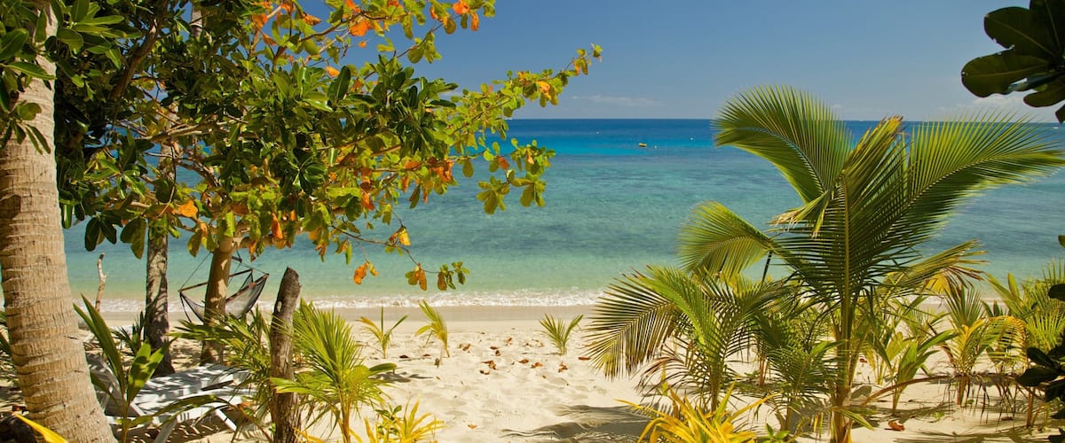 Fiji som inkluderer tropisk landskap og sandstrand