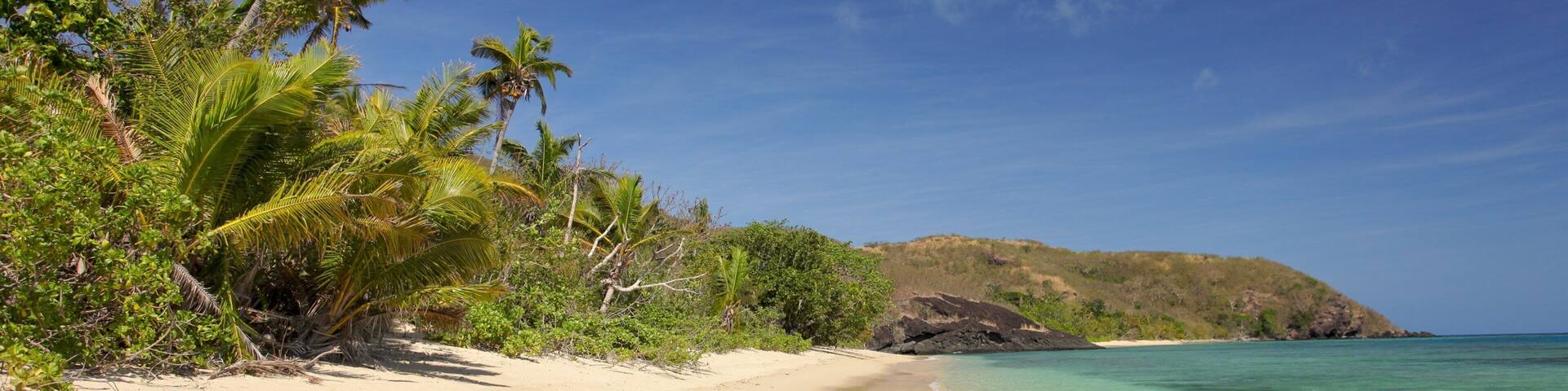 Fiji que incluye escenas tropicales y una playa de arena