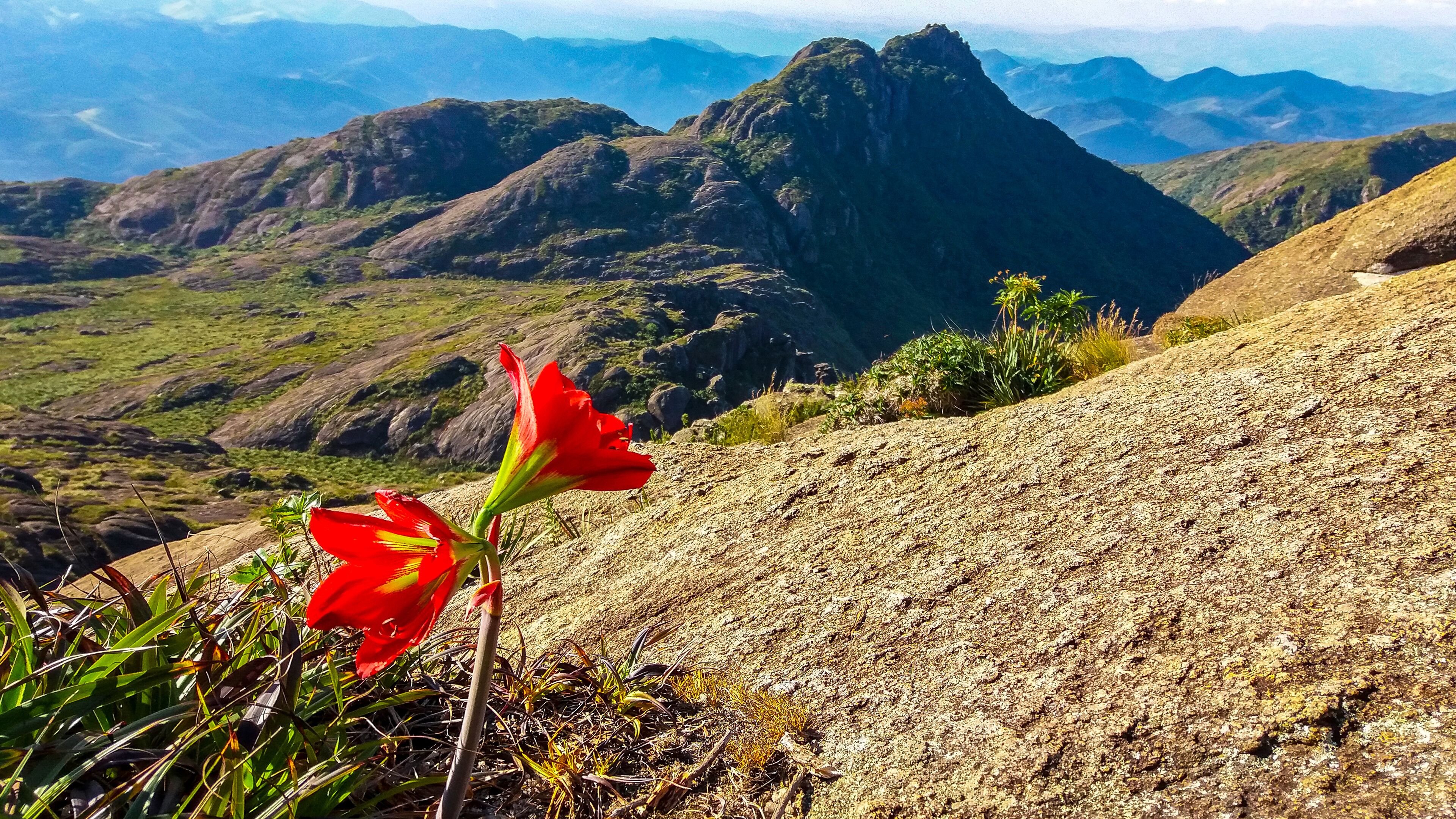 Pico dos Marins, Cruzeiro - SP - Brazil
