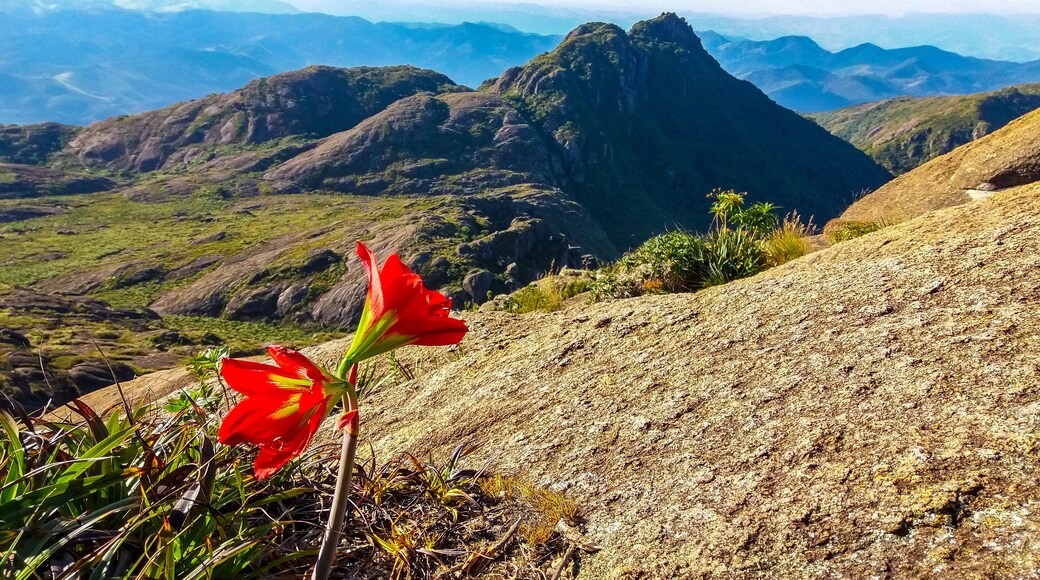 Pico dos Marins, Cruzeiro - SP - Brazil