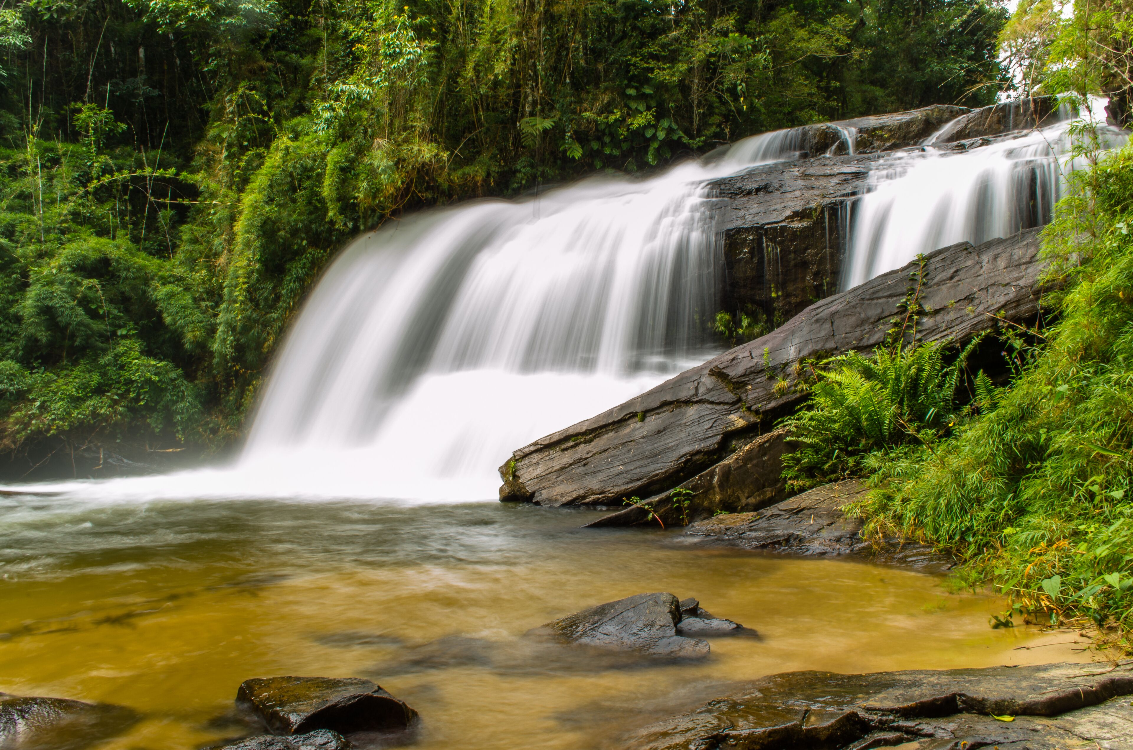 A waterfall cascading over rocks in a lush green forest.