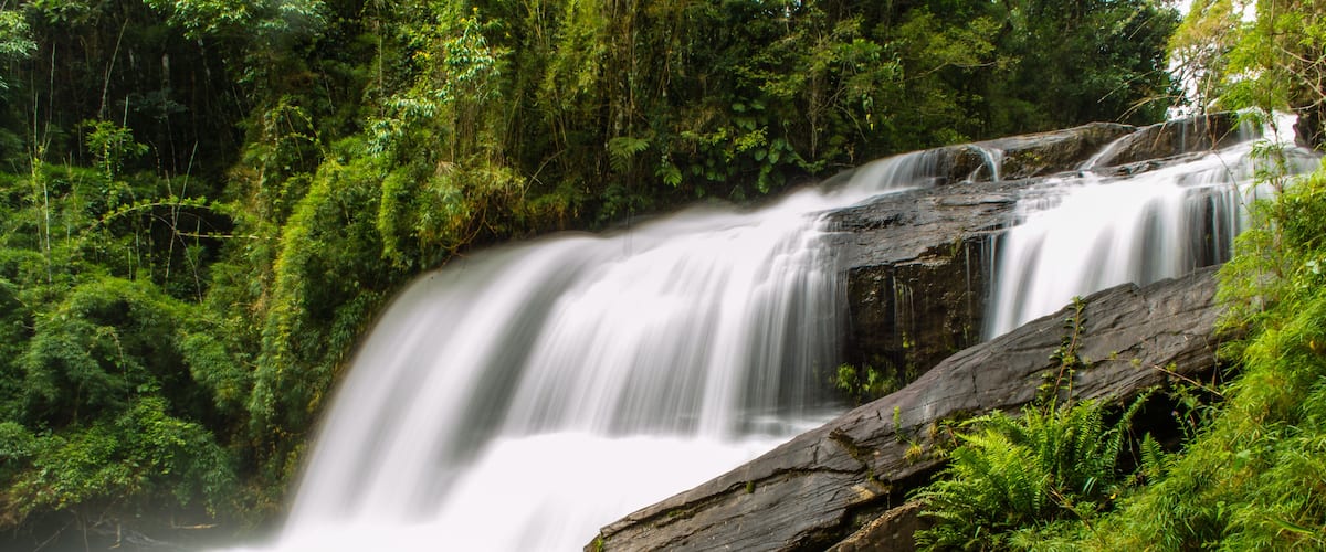 A waterfall cascading over rocks in a lush green forest.
