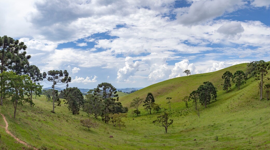 Panoramic view of a hill with some trees and a blue sky with clouds