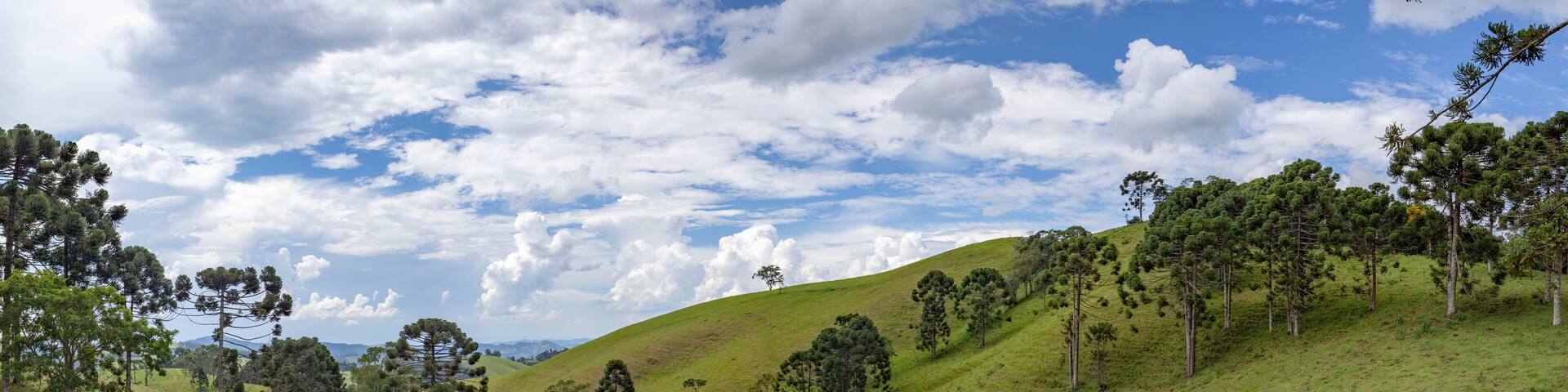 Panoramic view of a hill with some trees and a blue sky with clouds