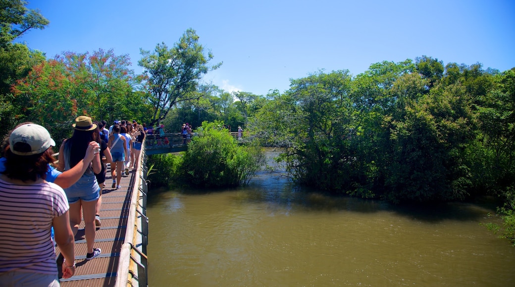 Devil\'s Throat showing views, a bridge and a river or creek