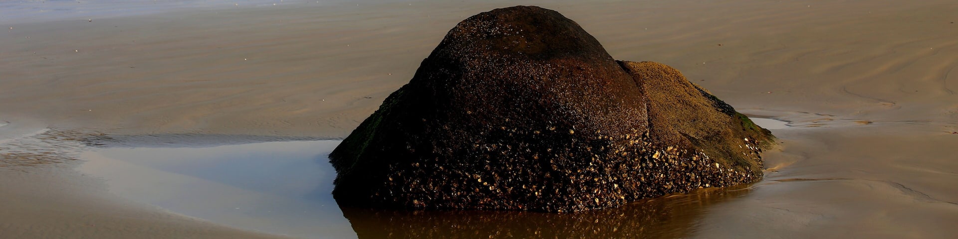 A beach with sand and calm waters, a stone in the foreground and a city in the horizon. Riviera de Sao Lourenco, Bertioga, Brazil