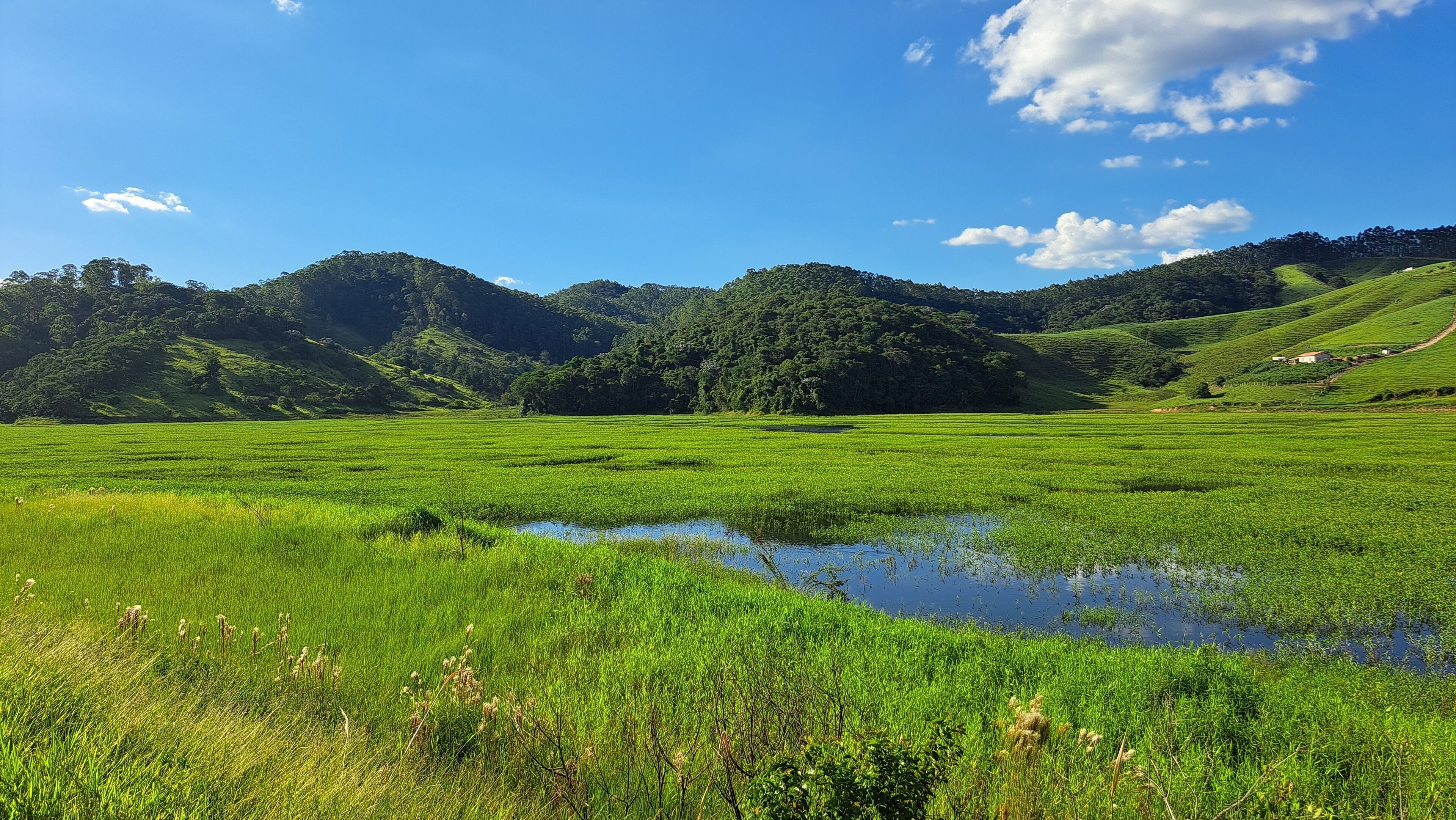 ساليسوبوليس