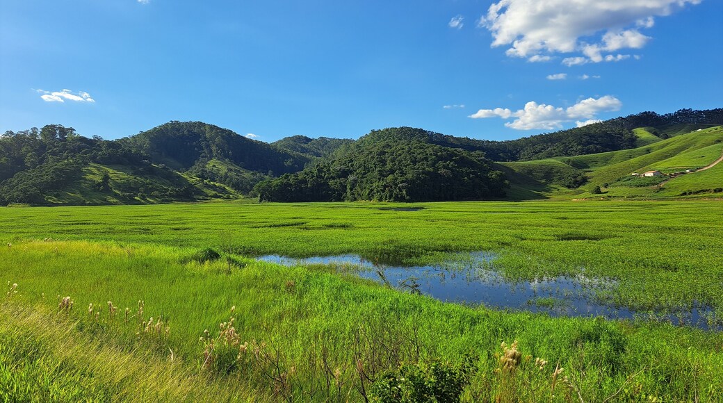 ساليسوبوليس