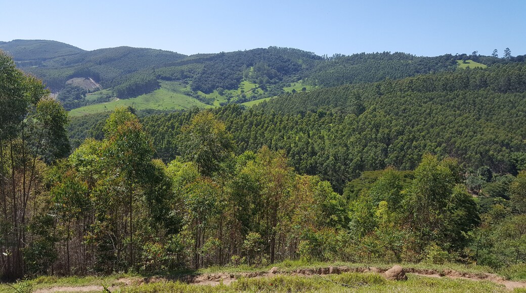 ساليسوبوليس