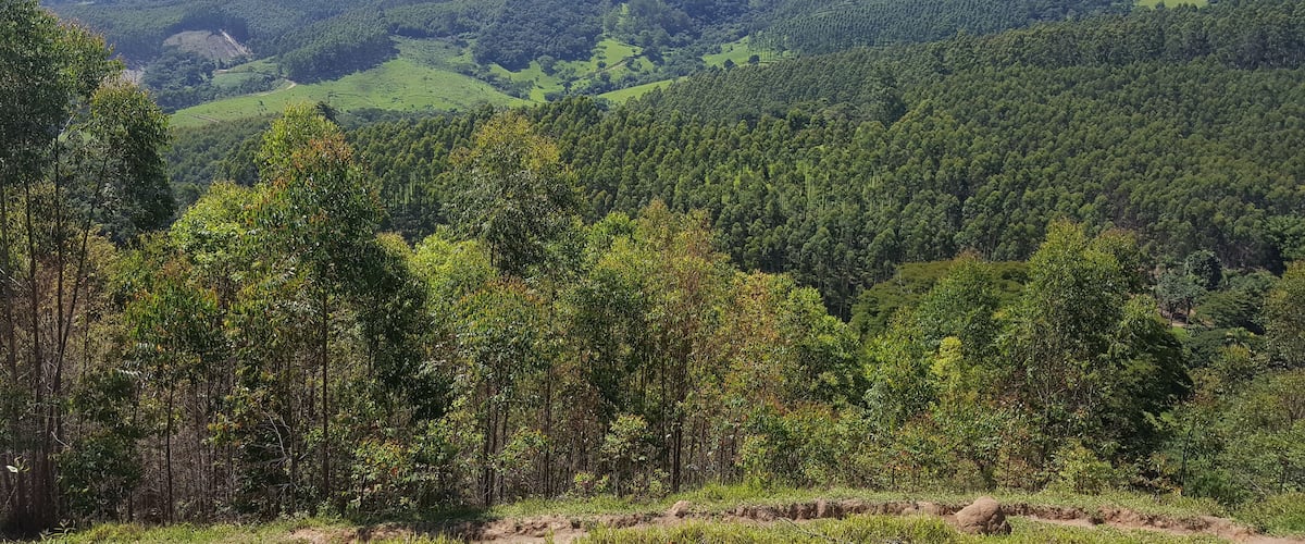 A lush green valley with dense forests and rolling hills.