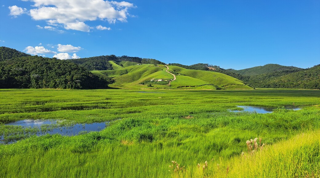 ساليسوبوليس