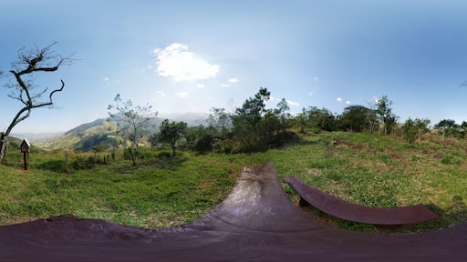 São Francisco Xavier