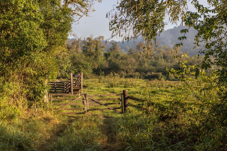 Farm gate and field with forest at sunrise