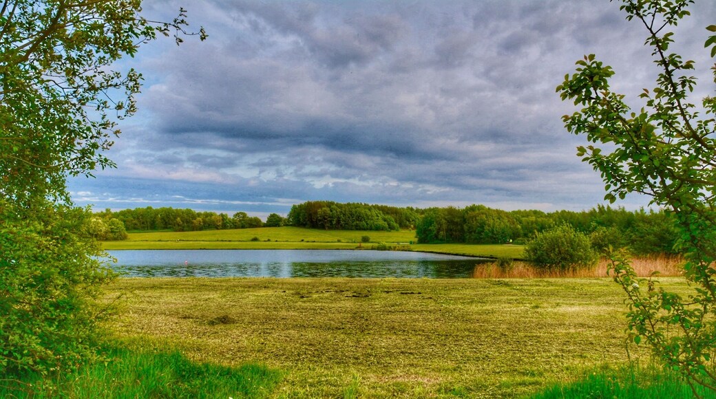 A perfect place to practice with the camera locally