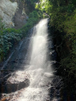 On the other side of fear, lies freedom! #nature #waterfall #cachoeira #riograndedosul #brasil