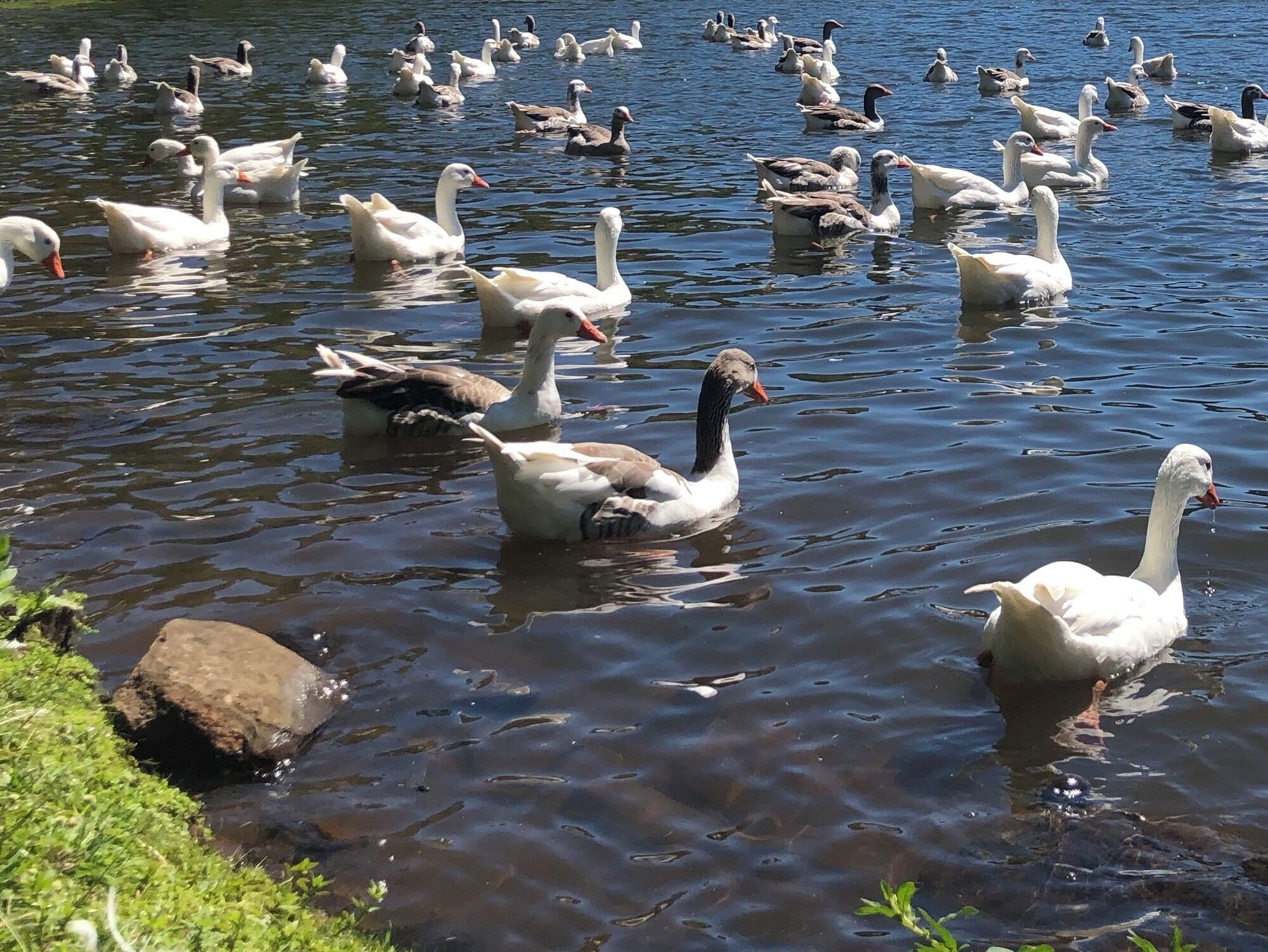 Beautiful day in São Francisco de Paula