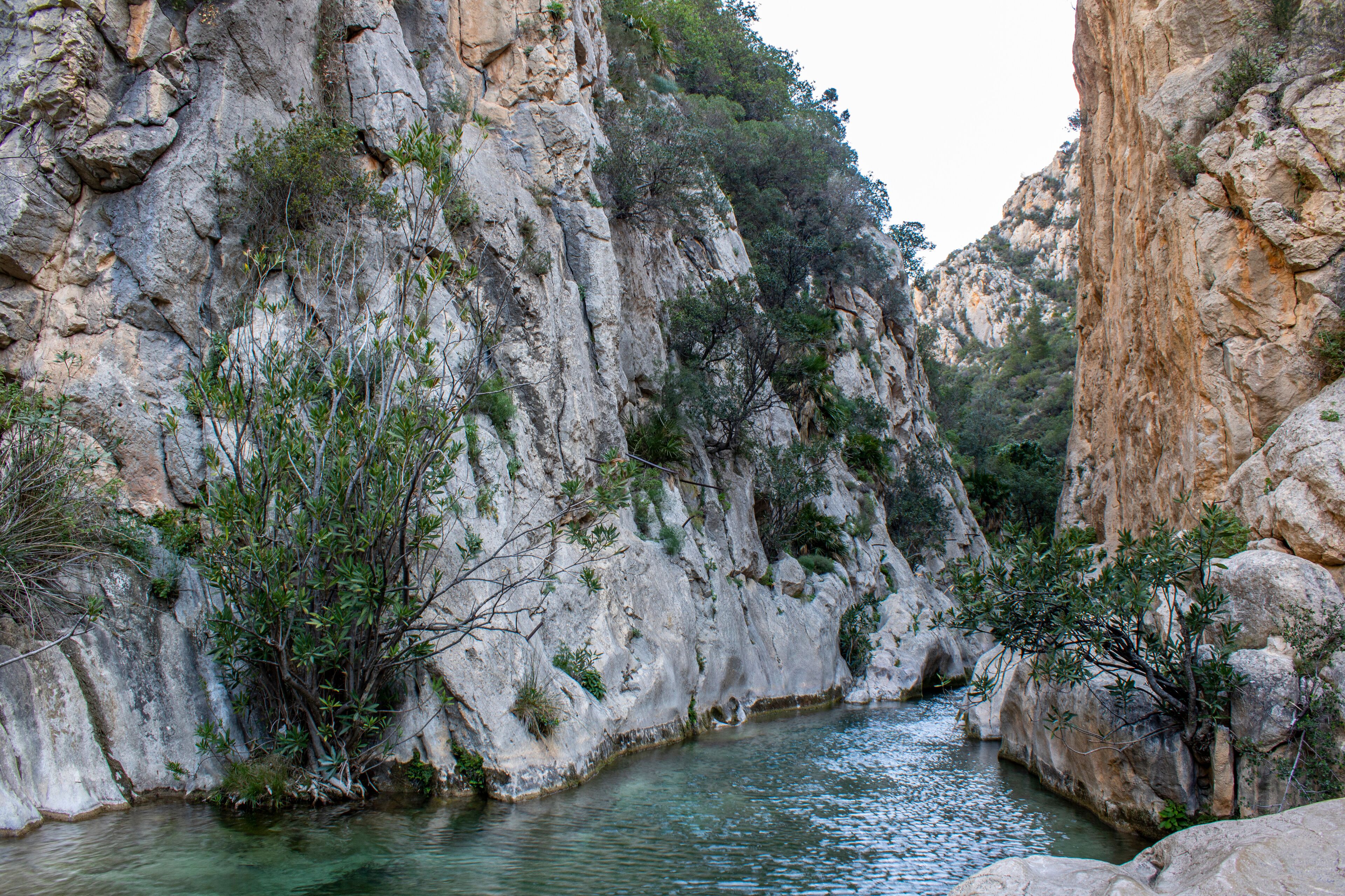 Natural site of Algar Fountains in Callosa d´En Sarria.