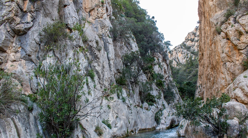 Natural site of Algar Fountains in Callosa d´En Sarria.