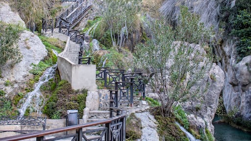 كالوسا دي إين ساريا