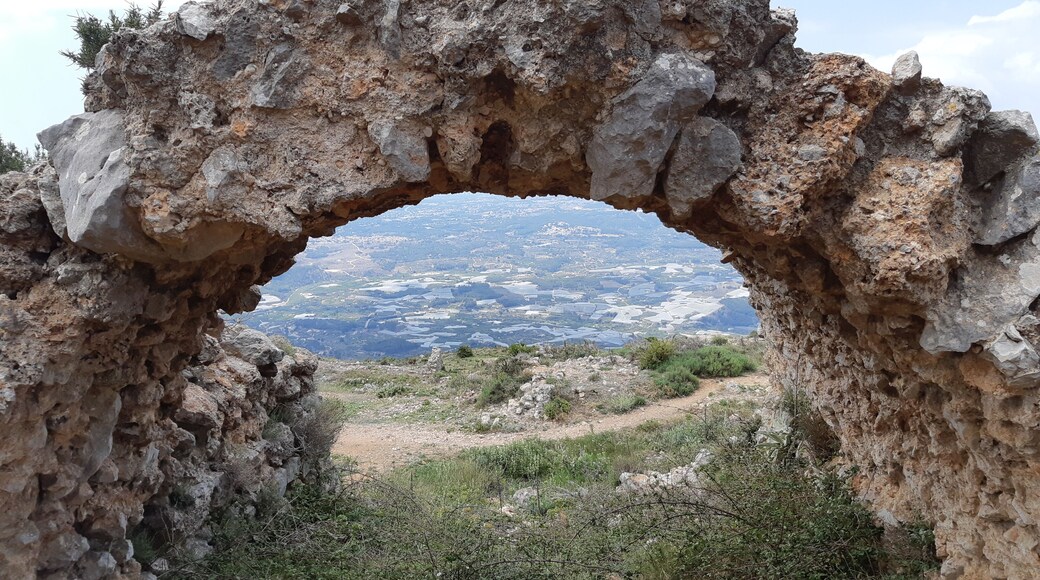 Het Fort van Bernia is gelegen op de zuidelijke helling van de Sierra de Bernia in de gemeente Callosa d'En Sarrià in de Spaanse provincie Alicante. Het fort is gebouwd in 1562 naar een ontwerp van Giovanni Battista Antonelli, maar werd alweer gesloopt in 1613. Er rest nog slechts een ruïne.