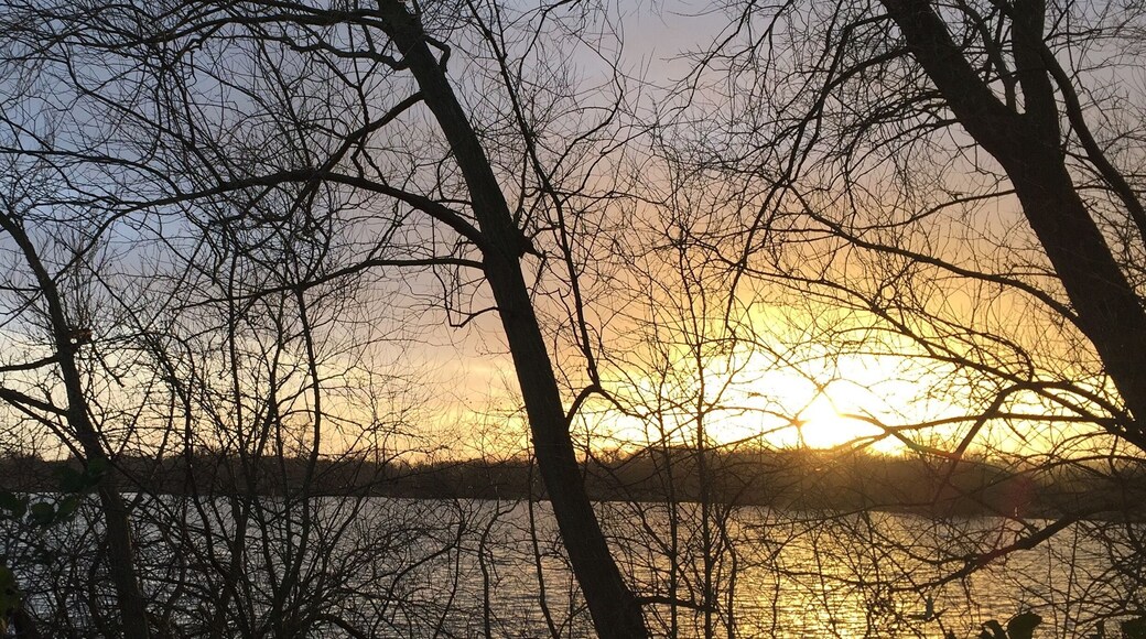 Lovely place for a family walk to feed the ducks.
#waterlust #sunset #outdoors #trees #water #lake #colour #goldenhour