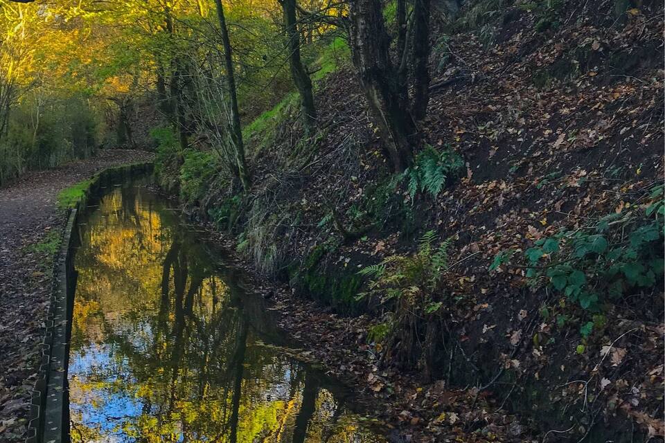 A calm river reflecting trees with yellow leaves, surrounded by a forested hillside.