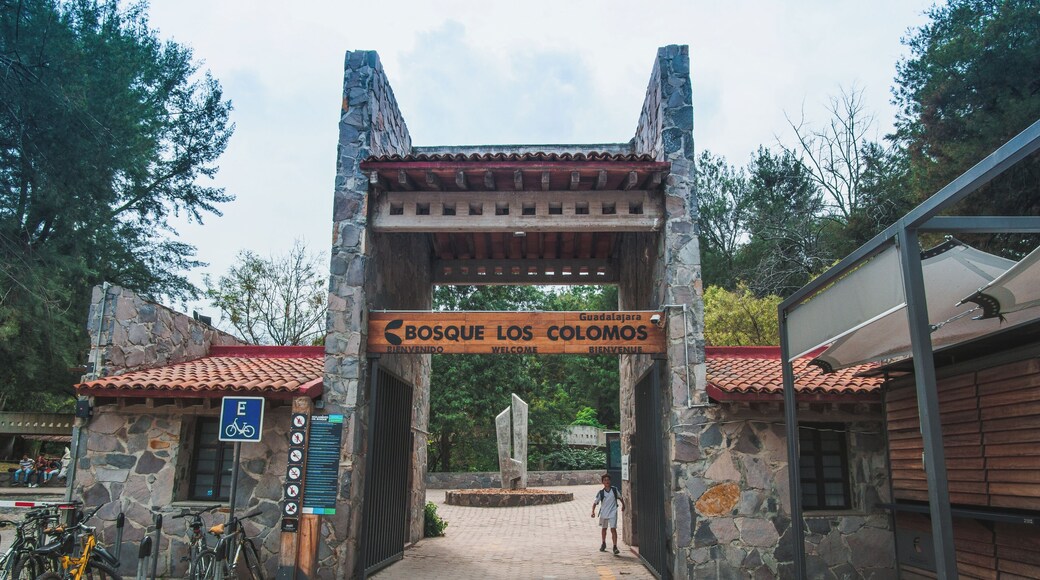 Guadalajara_BosqueLosColomos_6250436_1