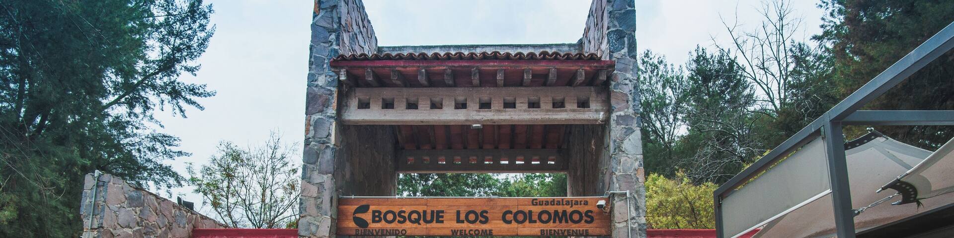 Guadalajara_BosqueLosColomos_6250436_1