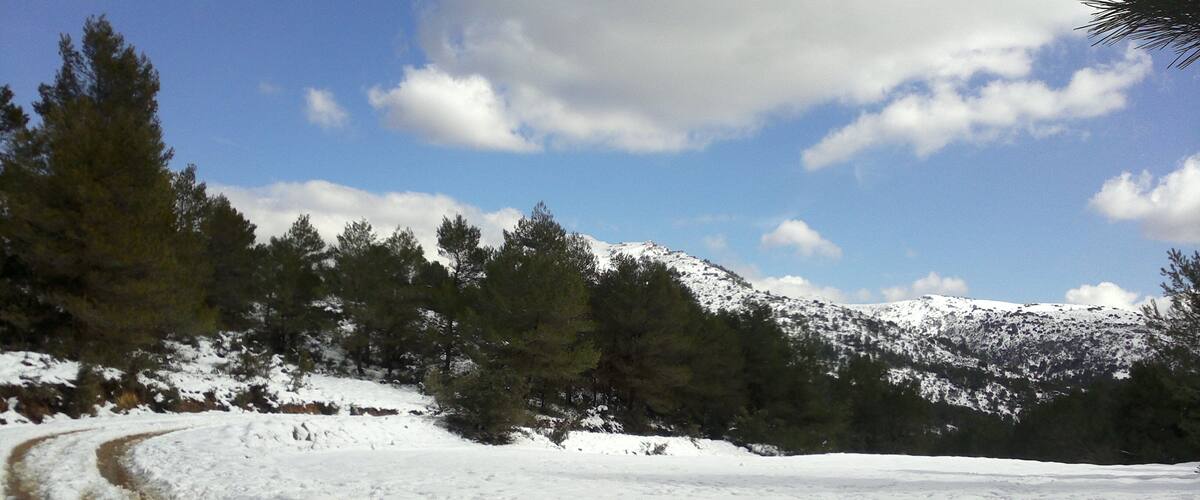 A snow-covered mountain landscape with a dirt path.