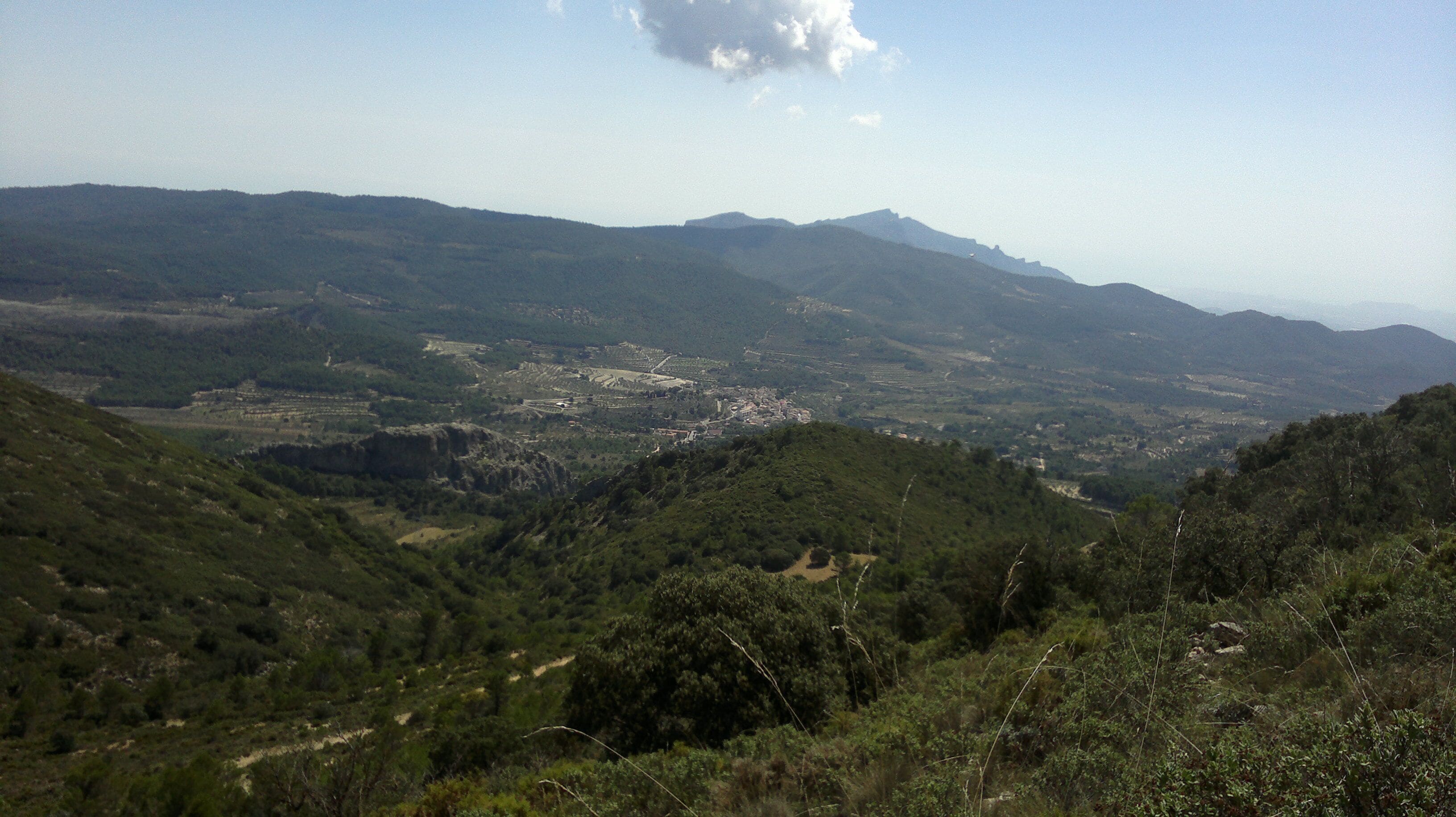 La Torre desde Els Plans