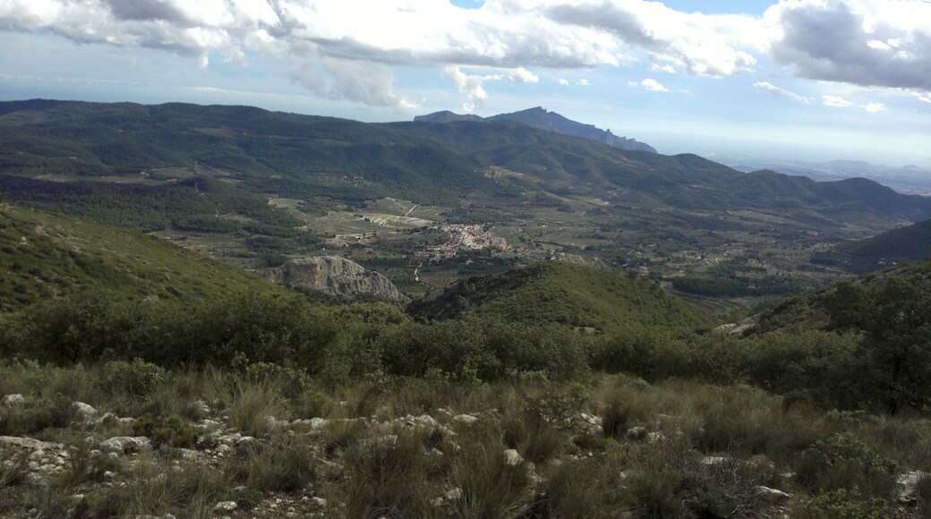 La Torre de les Massanes desde Els Plans