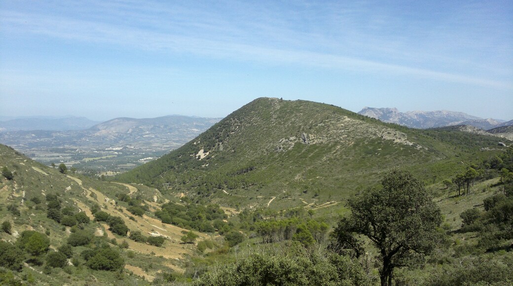 El Rentonar, desde Els Plans