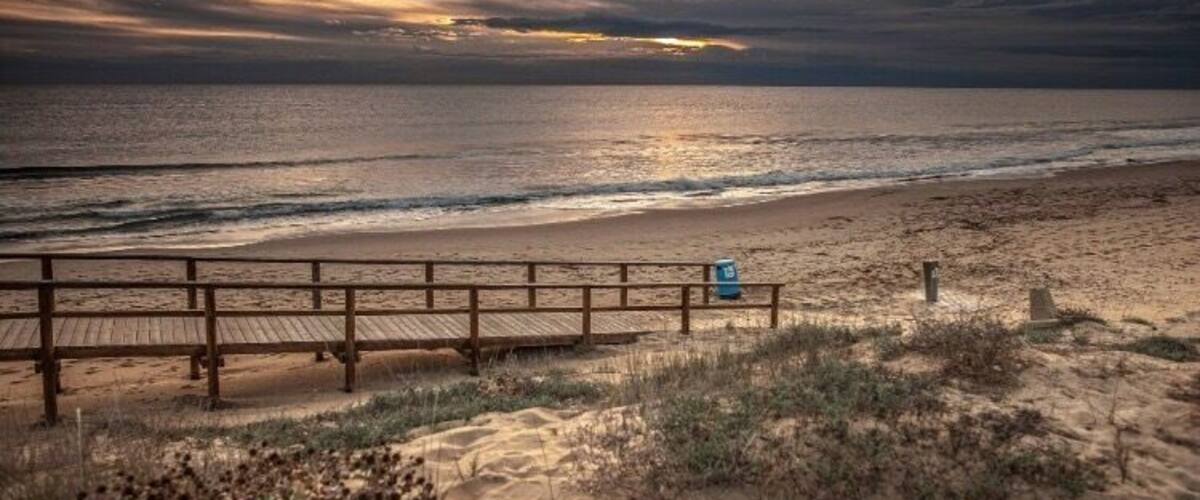 A beach with a wooden walkway and a blue trash bin.