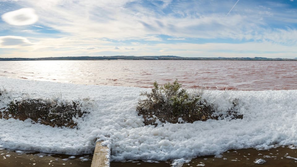 A river with a frozen surface, surrounded by snow-covered bushes and a clear sky.