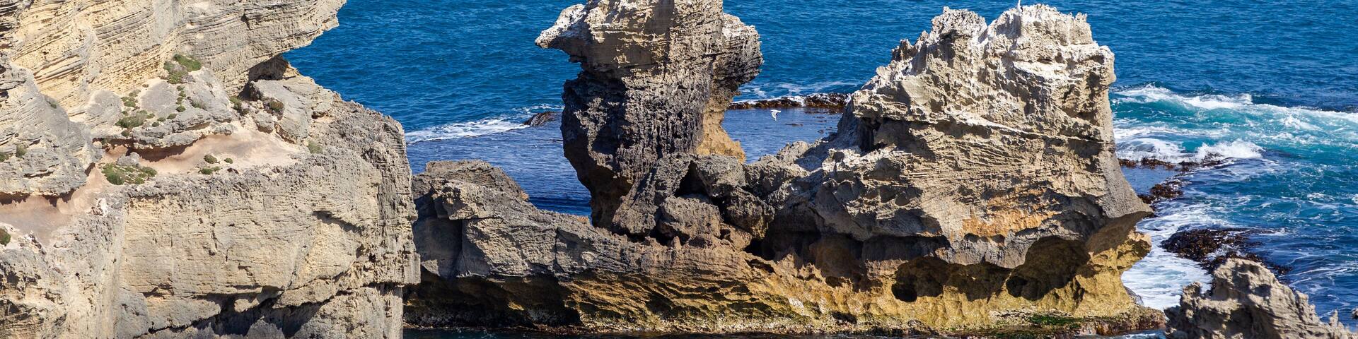 The iconic Camel rock at Cape Northumberland in Port MacDonnell South Australia on November 10th 2020