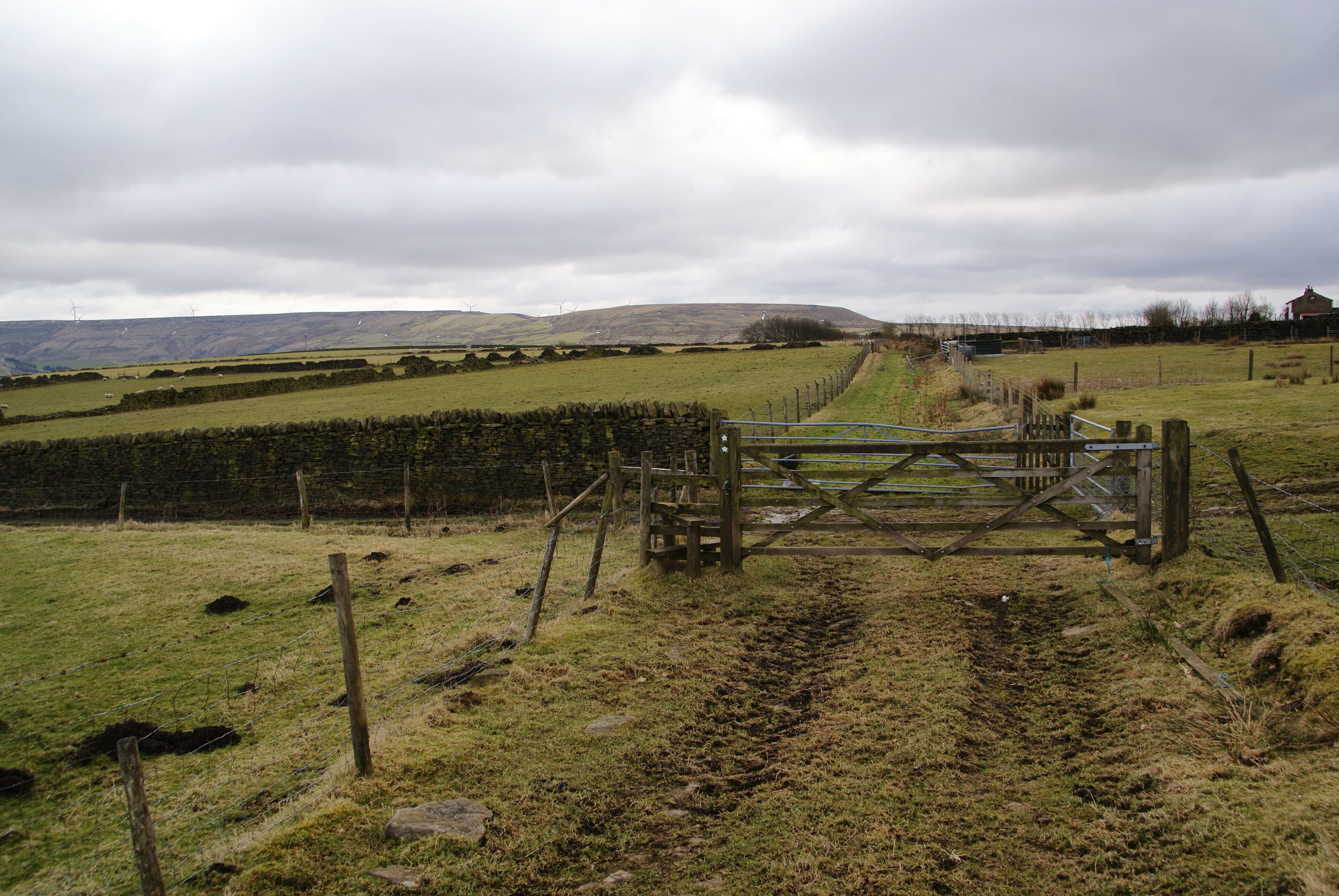 A junction of paths Straight on leads to Cloughfold, behind me to Whitewell Bottom and left to Edgeside. It is surprisingly flat for a hilltop.