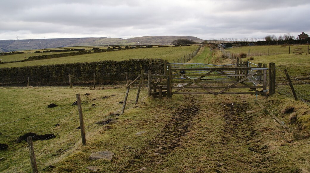 A junction of paths Straight on leads to Cloughfold, behind me to Whitewell Bottom and left to Edgeside. It is surprisingly flat for a hilltop.