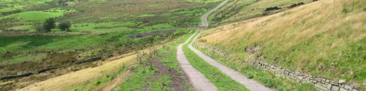 Eine kurvenreiche Landstraße schlängelt sich durch sanfte Hügel, gesäumt von Feldern.