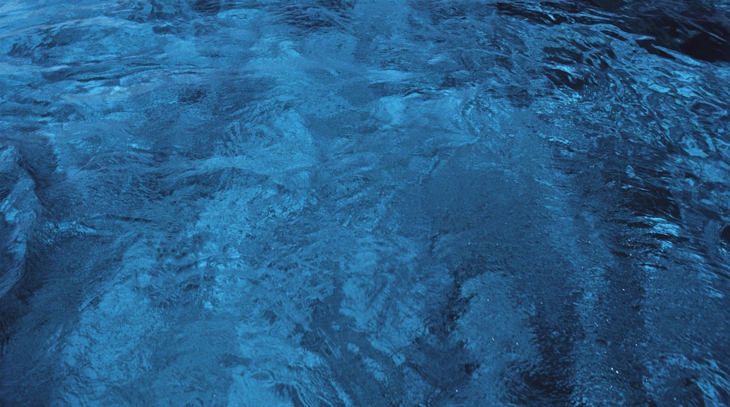 Buck Island in the Virgin Islands