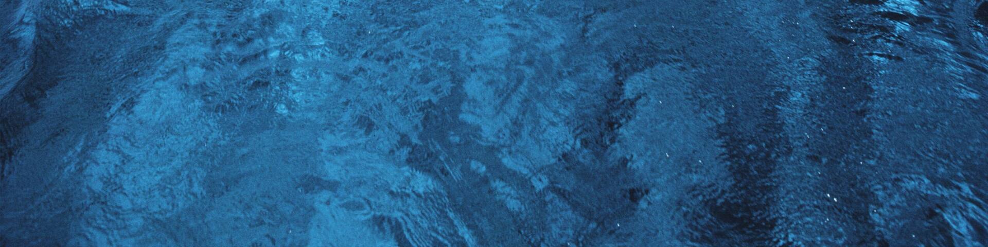 Buck Island in the Virgin Islands