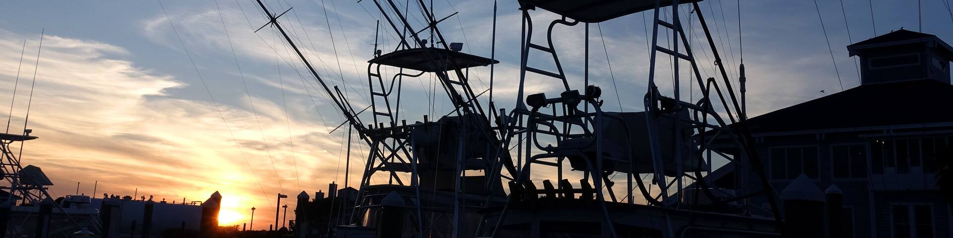 Masts of yachts parked in marina at dusk in Pirate's Cove Marina, Manteo, North Carolina criss cross the sky.